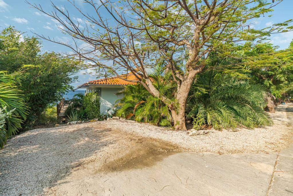 Cliff Cottage- Vacation Villa With Breath Taking Sea View Playa Eksteriør billede